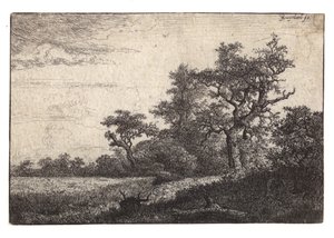 Etching of Tree and Grainfield